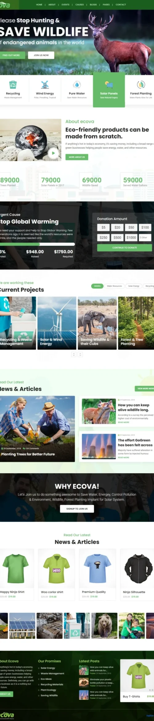 Ecova WordPress Themes