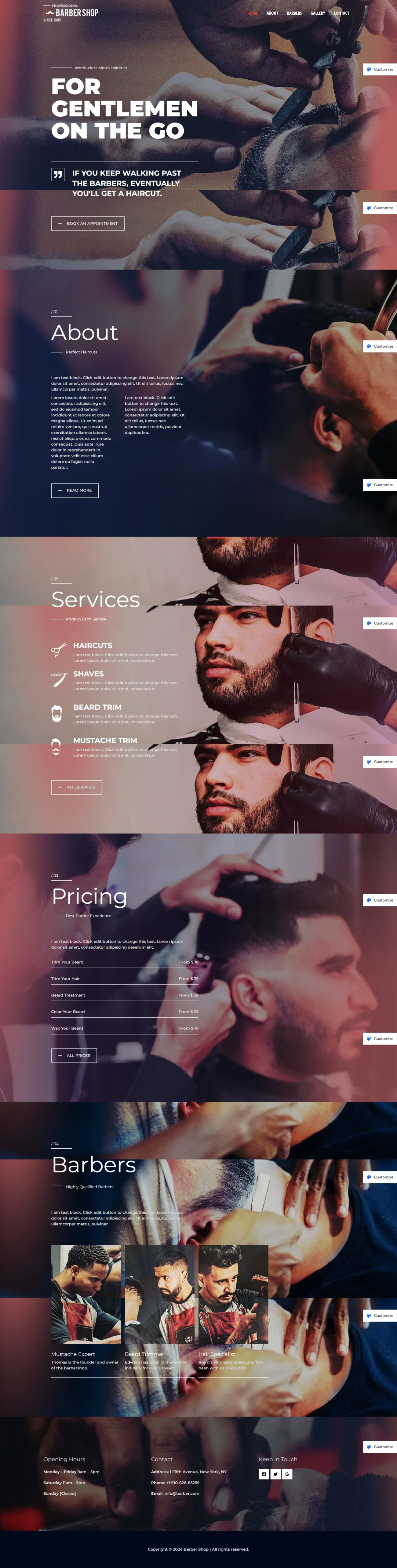 Barber Shop digitizer sol WordPress Themes