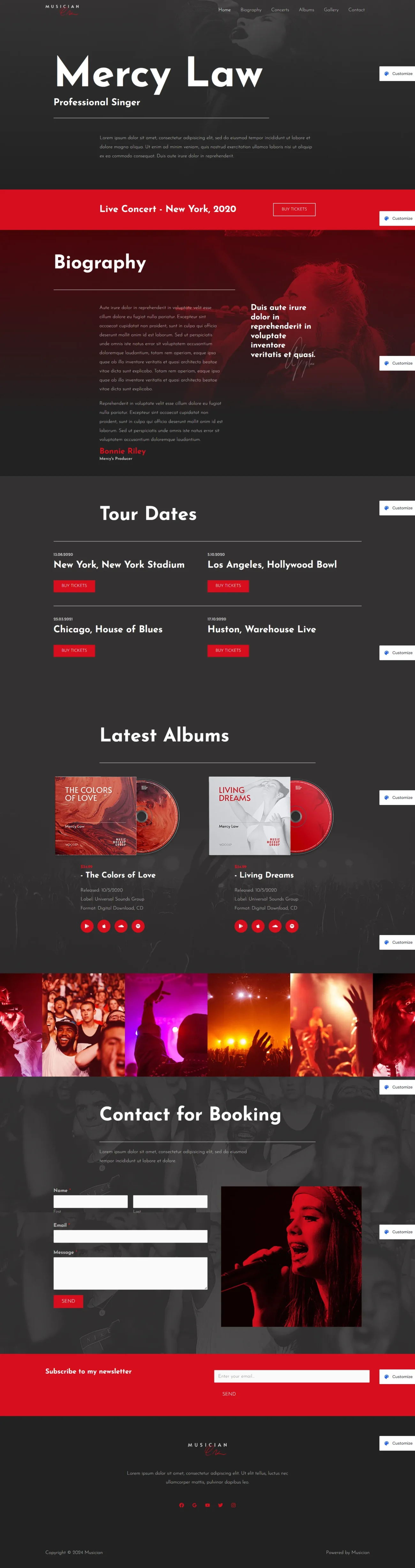 Musician digitizer sol WordPress Themes