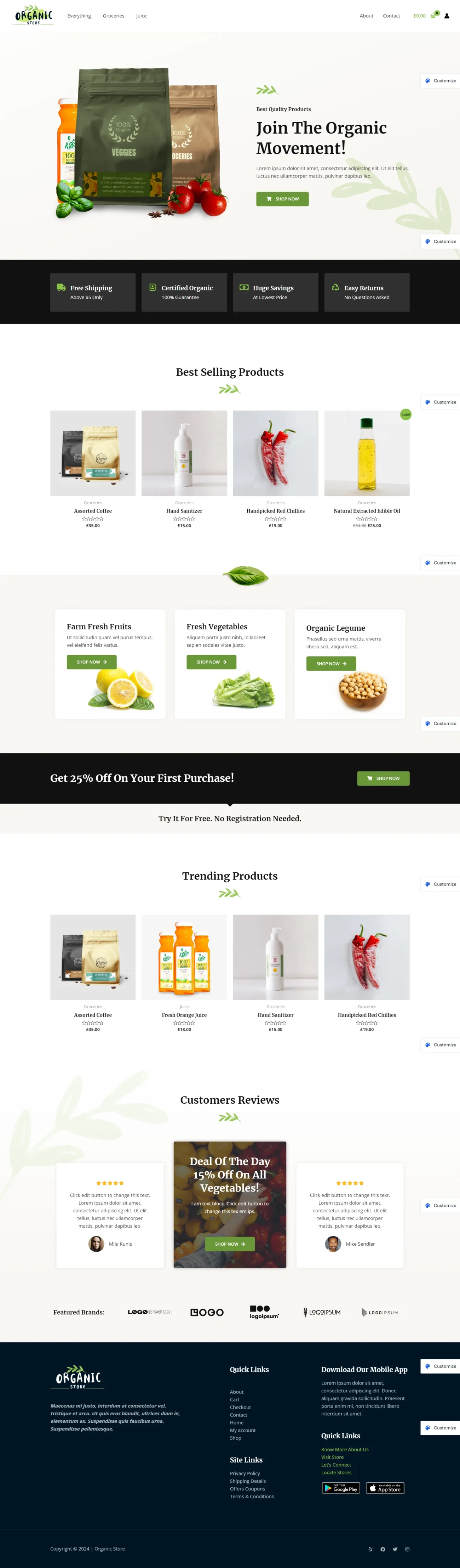 Organic Shop digitizer sol WordPress Themes