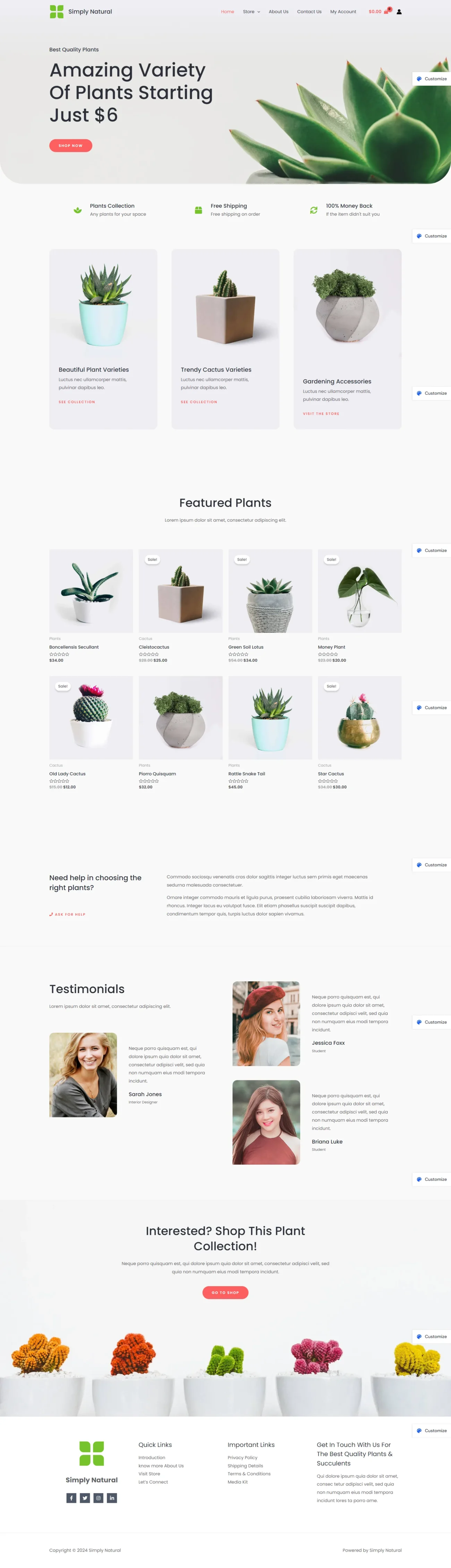 Plant Store digitizer sol WordPress Themes