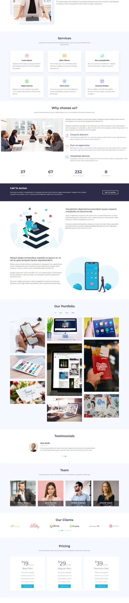 Rapid digitizer sol WordPress Themes