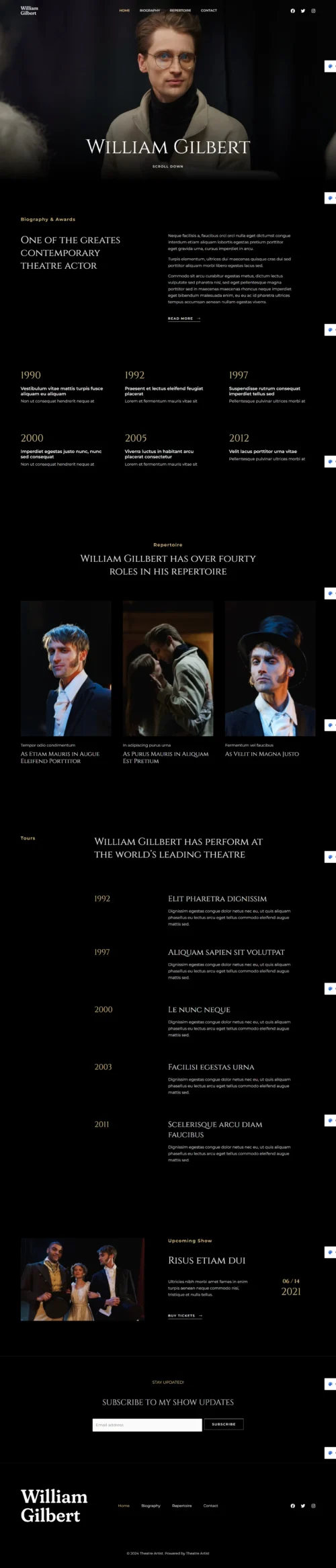 Theatre Artist digitizer sol WordPress Themes